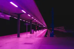 purpleway-1024x678-1
